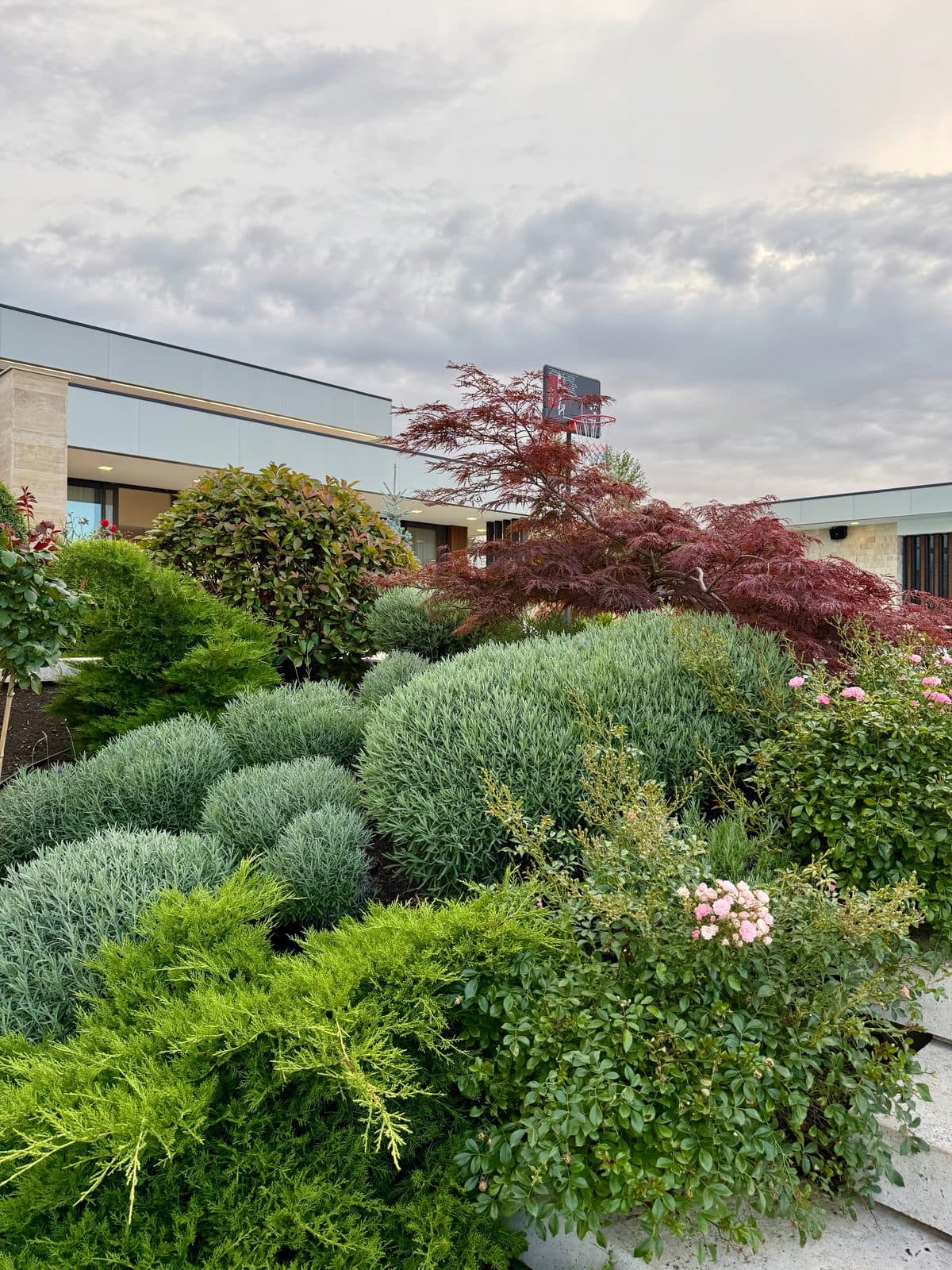 Mature planting in the landscaped gardens.